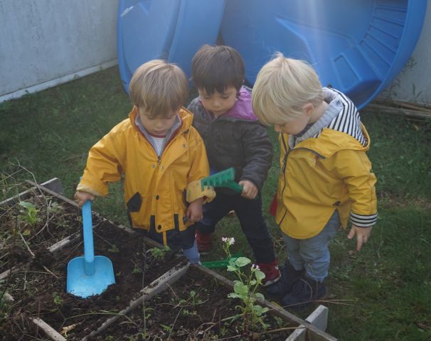 Octobre : nettoyage du potager
