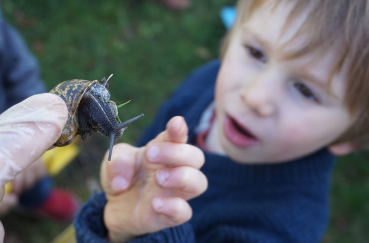 Octobre : rencontre avec les escargots