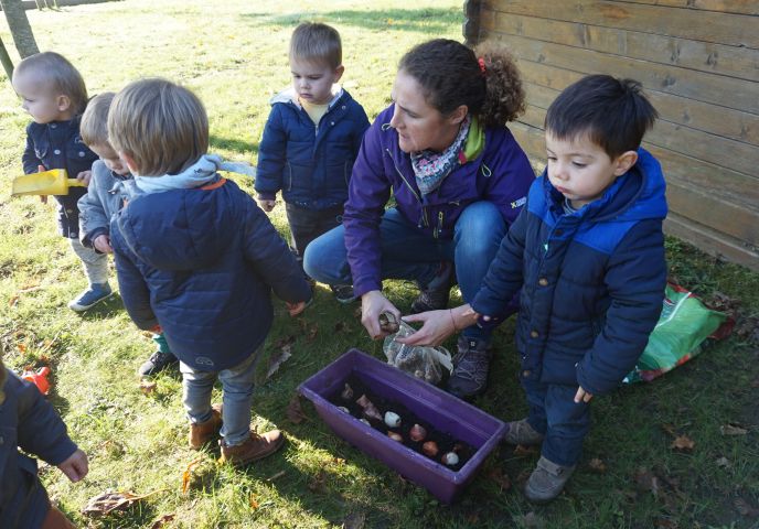 Octobre : plantation des bulbes