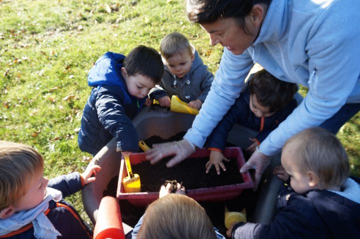Octobre : plantation des bulbes