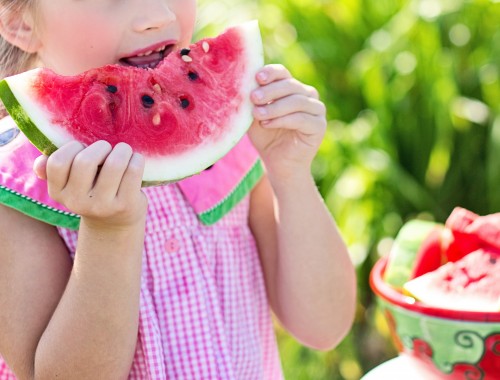 L'alimentation au coeur du projet educatif et pédagogique